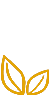 生态环保 健康出行