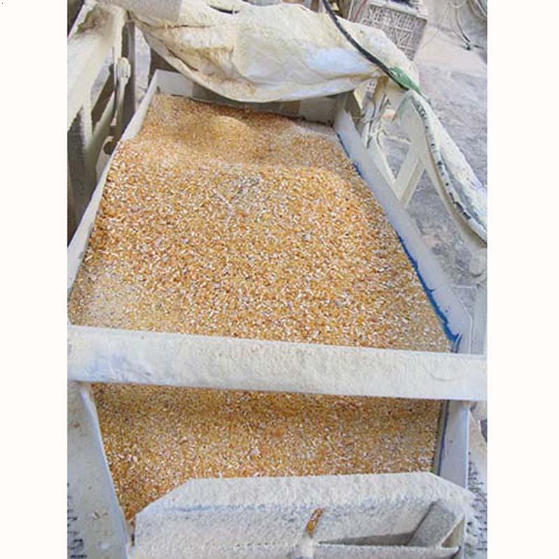 玉米碴子成品粮食