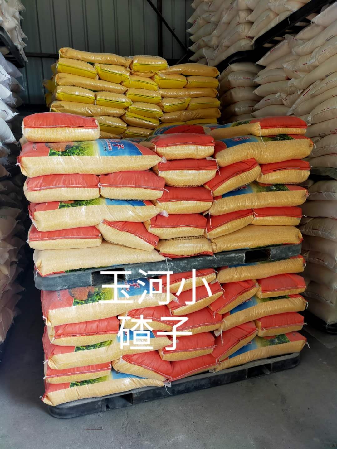 玉河小碴子