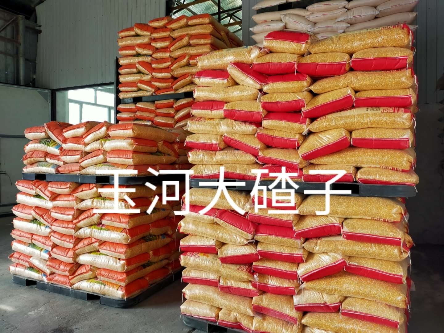 玉河大碴子